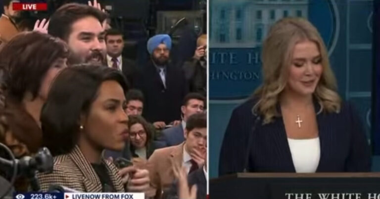 WATCH: “Utterly Ridiculous” – White House Press Secretary Karoline Leavitt Responds to Lunatic Rep. Jamie Raskin’s Calls to Impeach Elon Musk